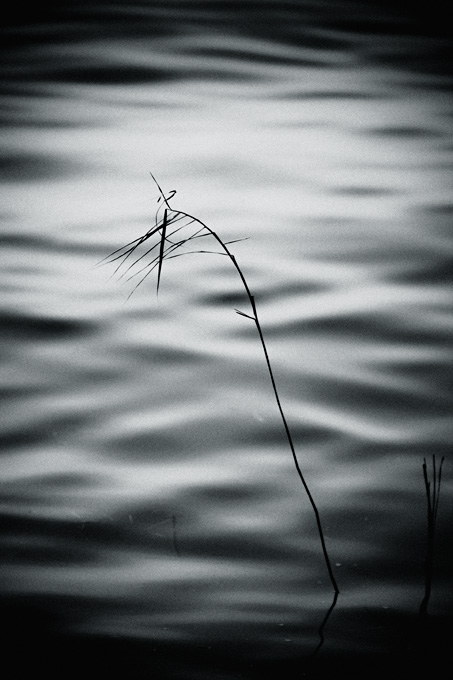 elsewhere_copyright_2009_luca_lacche_029