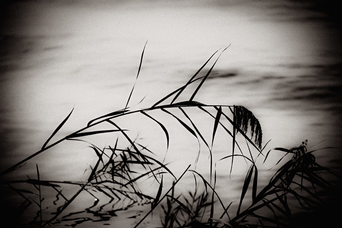 elsewhere_copyright_2009_luca_lacche_030