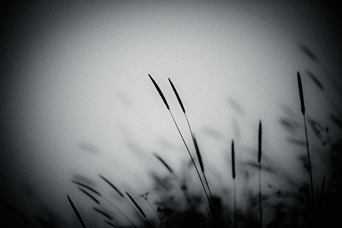 elsewhere_copyright_2009_luca_lacche_035 (1)