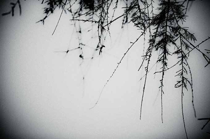 elsewhere_copyright_2009_luca_lacche_045