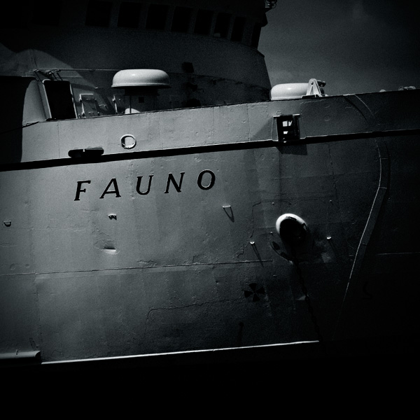 fauno_copyright_2008_luca_lacche