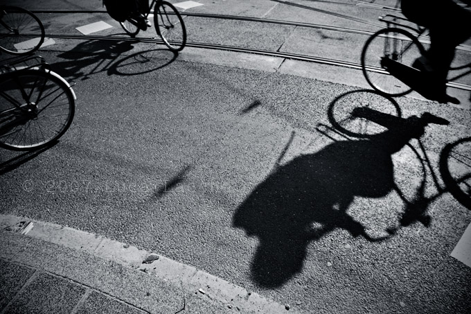 pathways_copyright_2007_2008_luca_lacche