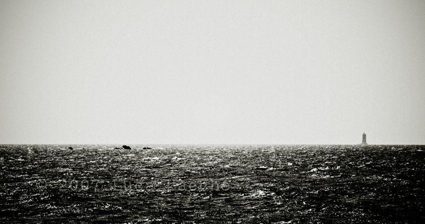vento_di_mare_copyright_2007_2008_luca_lacche