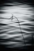 elsewhere_copyright_2009_luca_lacche_029