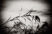 elsewhere_copyright_2009_luca_lacche_030