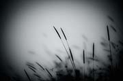 elsewhere_copyright_2009_luca_lacche_035 (1)