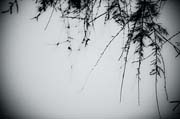 elsewhere_copyright_2009_luca_lacche_045