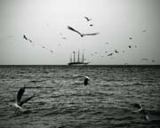 en_route_copyright_2007_2008_luca_lacche