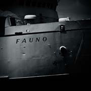 fauno_copyright_2008_luca_lacche