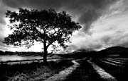 july_reprise2_copyright_2007_2008_luca_lacche