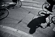 pathways_copyright_2007_2008_luca_lacche