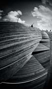 the_shell_copyright_2008_luca_lacche