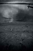 untitled_the_shoe_copyright_2008_luca_lacche