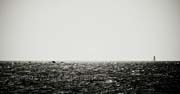 vento_di_mare_copyright_2007_2008_luca_lacche