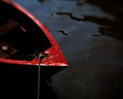amterdam_untitled_with_boat_copyright_2007_2008_luca_lacche