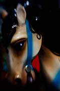 toy_horse_copyright_2007_2008_luca_lacche