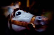 xmas_in_treviso_copyright_2009_luca_lacche_010