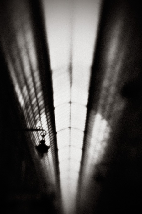 france_copyright_2008_luca_lacche_010