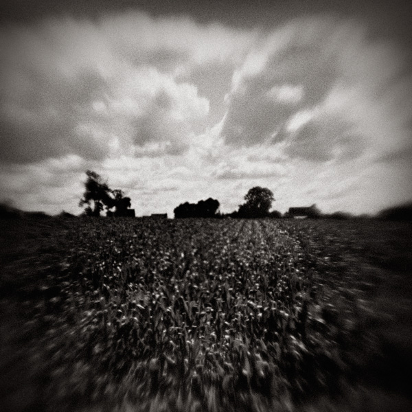 france_copyright_2008_luca_lacche_074