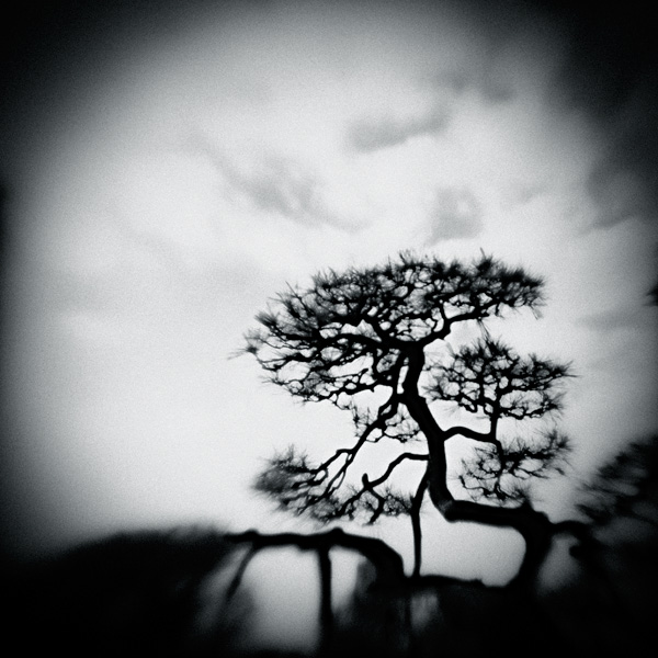 the_japanese_haunting_copyright_2008_luca_lacche_001