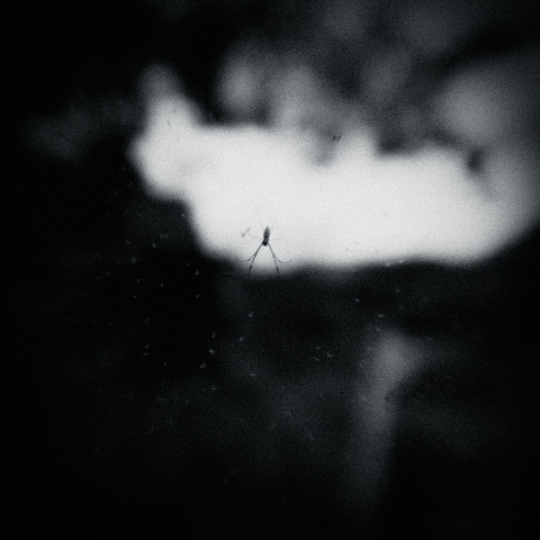 the_japanese_haunting_copyright_2008_luca_lacche_008