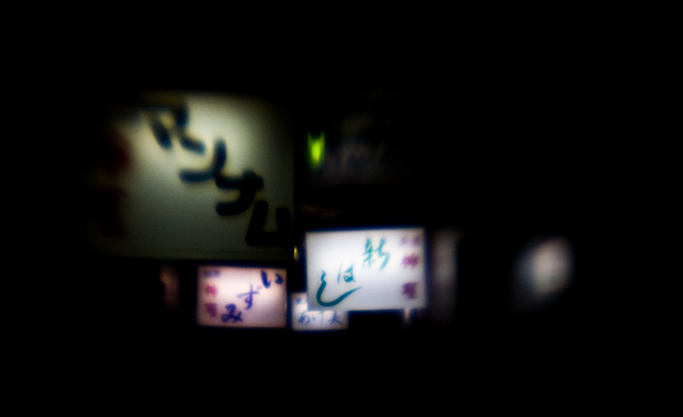 the_japanese_haunting_copyright_2008_luca_lacche_023
