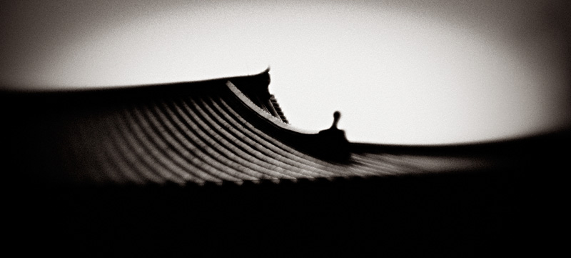 the_japanese_haunting_copyright_2008_luca_lacche_027