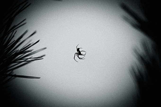 the_japanese_haunting_copyright_2008_luca_lacche_038