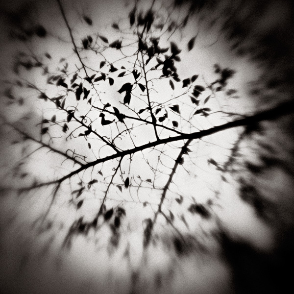 the_japanese_haunting_copyright_2008_luca_lacche_044