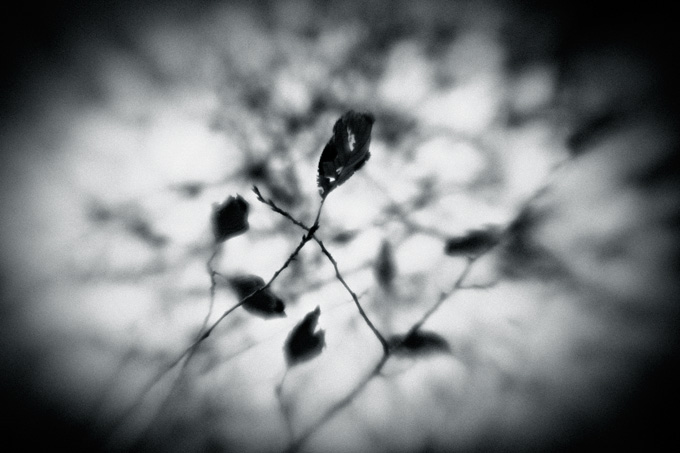 the_japanese_haunting_copyright_2008_luca_lacche_045