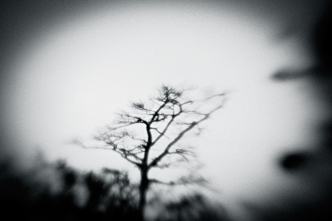 the_japanese_haunting_copyright_2008_luca_lacche_046