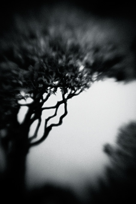 the_japanese_haunting_copyright_2008_luca_lacche_047