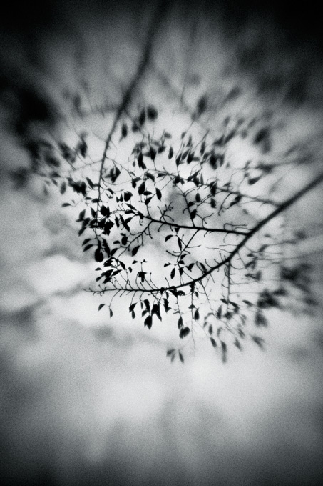 the_japanese_haunting_copyright_2008_luca_lacche_049