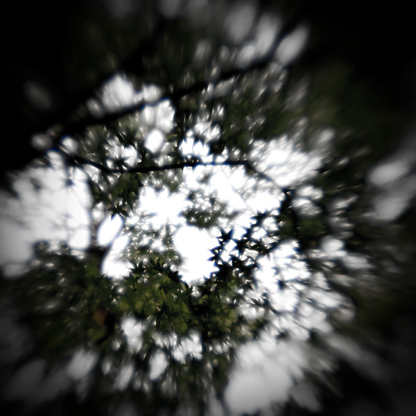 the_japanese_haunting_copyright_2008_luca_lacche_050