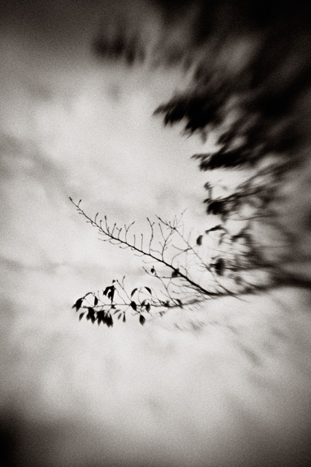 the_japanese_haunting_copyright_2008_luca_lacche_051