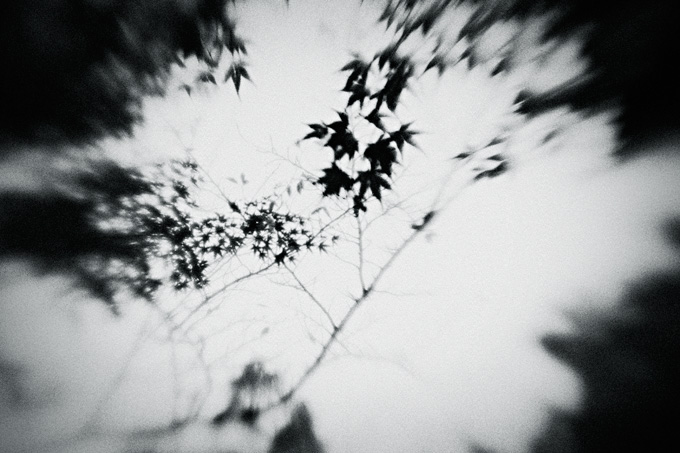 the_japanese_haunting_copyright_2008_luca_lacche_053