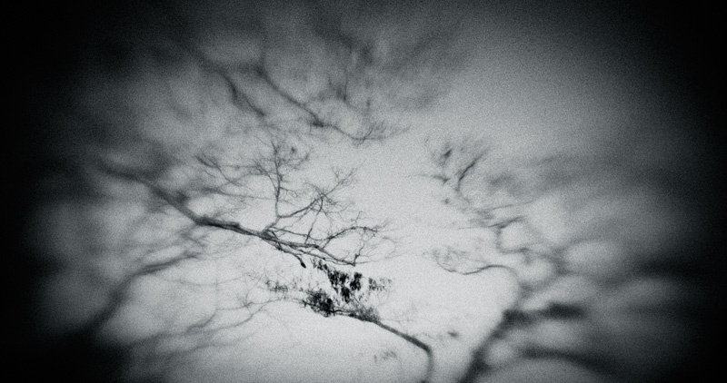the_japanese_haunting_copyright_2008_luca_lacche_054