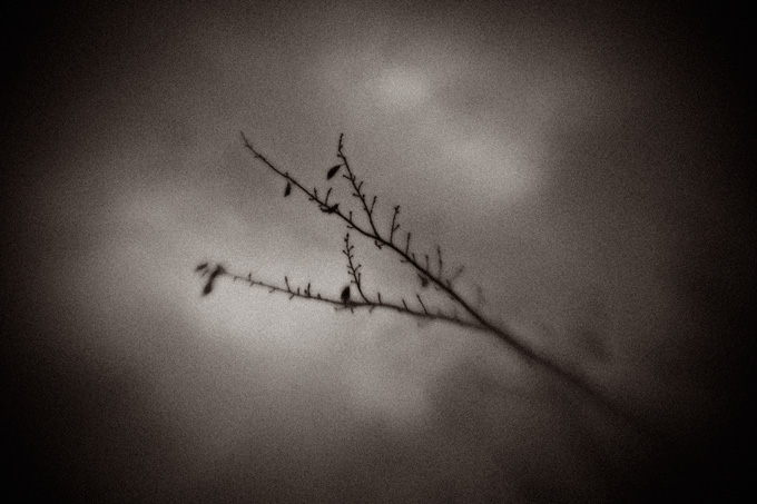 the_japanese_haunting_copyright_2008_luca_lacche_055
