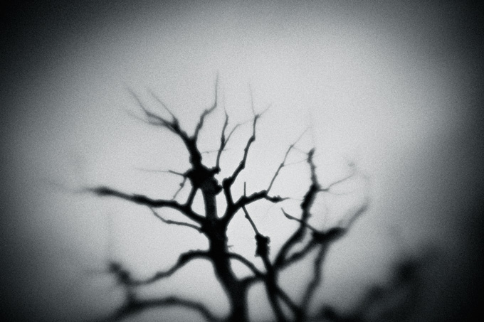 the_japanese_haunting_copyright_2008_luca_lacche_056