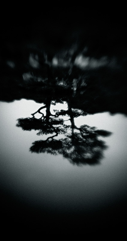 the_japanese_haunting_copyright_2008_luca_lacche_057