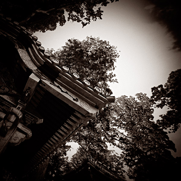 the_japanese_haunting_copyright_2008_luca_lacche_061
