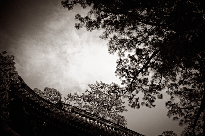 the_japanese_haunting_copyright_2008_luca_lacche_062