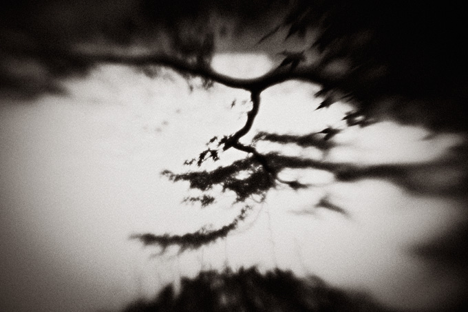 the_japanese_haunting_copyright_2008_luca_lacche_063
