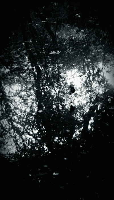 the_japanese_haunting_copyright_2008_luca_lacche_065