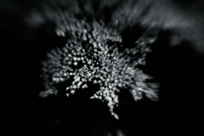 the_japanese_haunting_copyright_2008_luca_lacche_066
