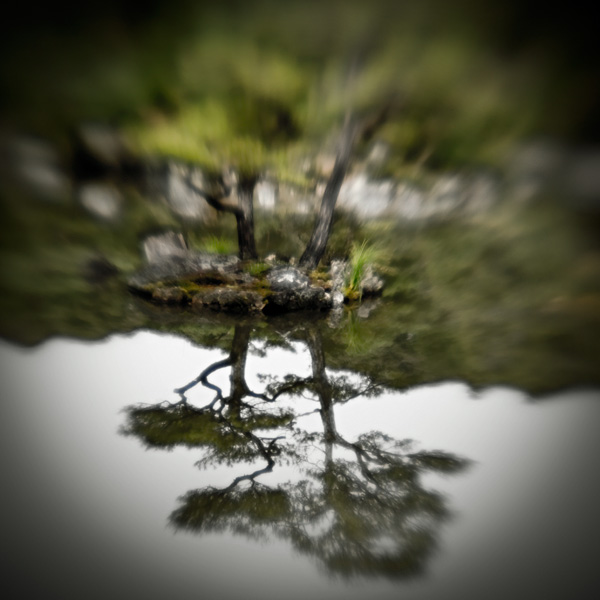 the_japanese_haunting_copyright_2008_luca_lacche_069