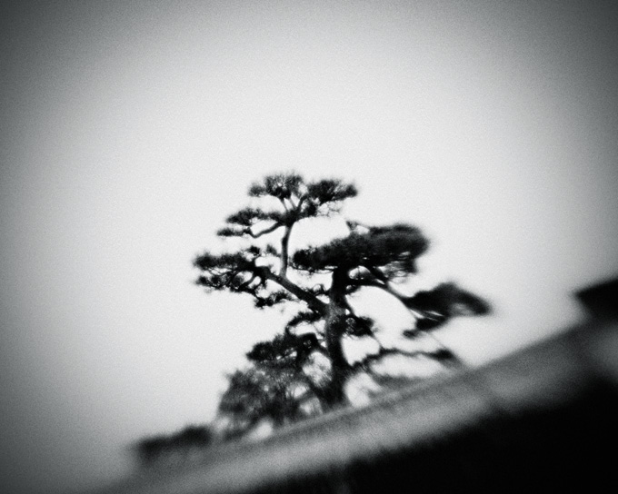 the_japanese_haunting_copyright_2008_luca_lacche_071