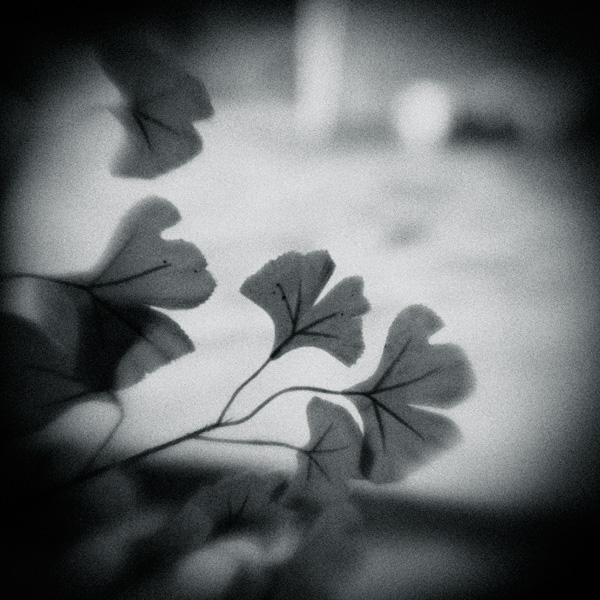 the_japanese_haunting_copyright_2008_luca_lacche_078