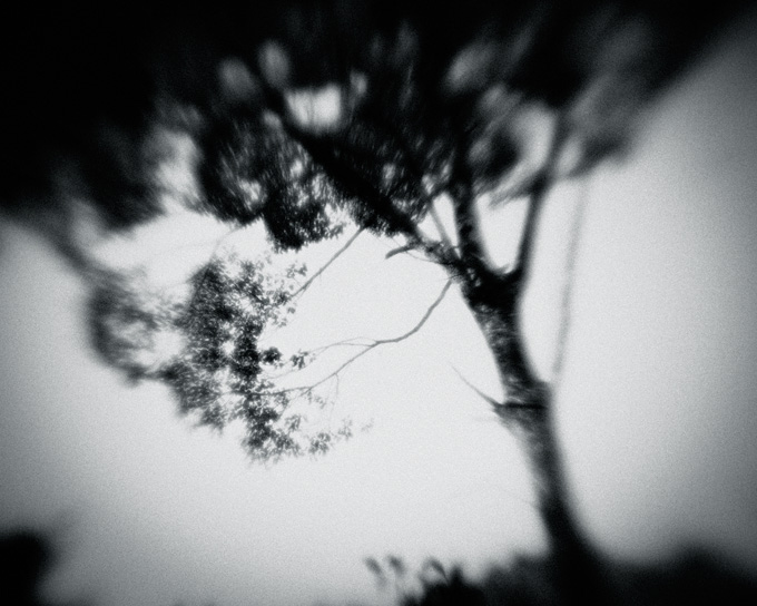 the_japanese_haunting_copyright_2008_luca_lacche_079