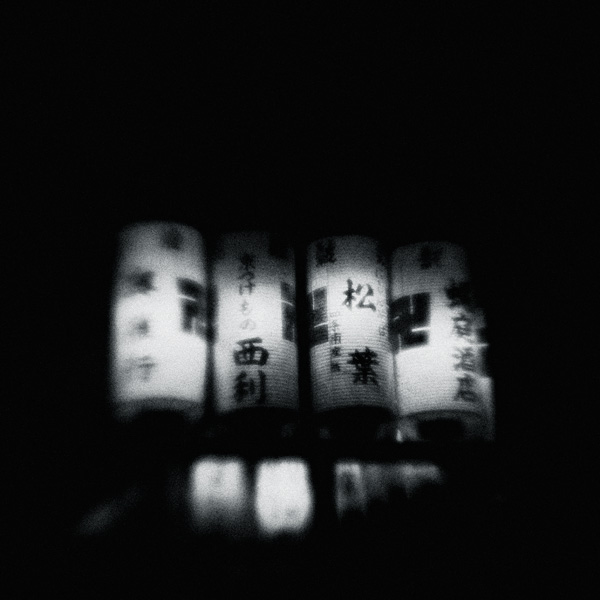 the_japanese_haunting_copyright_2008_luca_lacche_110